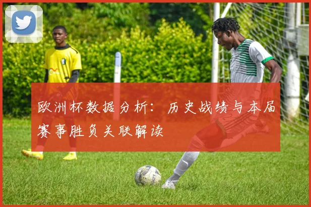 欧洲杯数据分析：历史战绩与本届赛事胜负关联解读