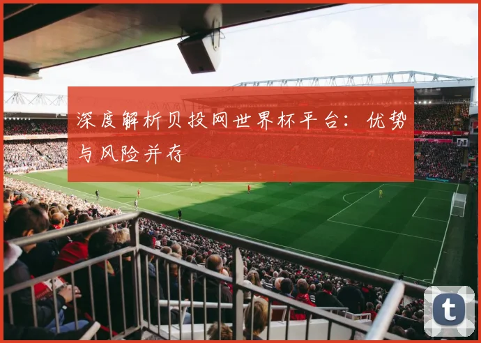 深度解析贝投网世界杯平台:优势与风险并存