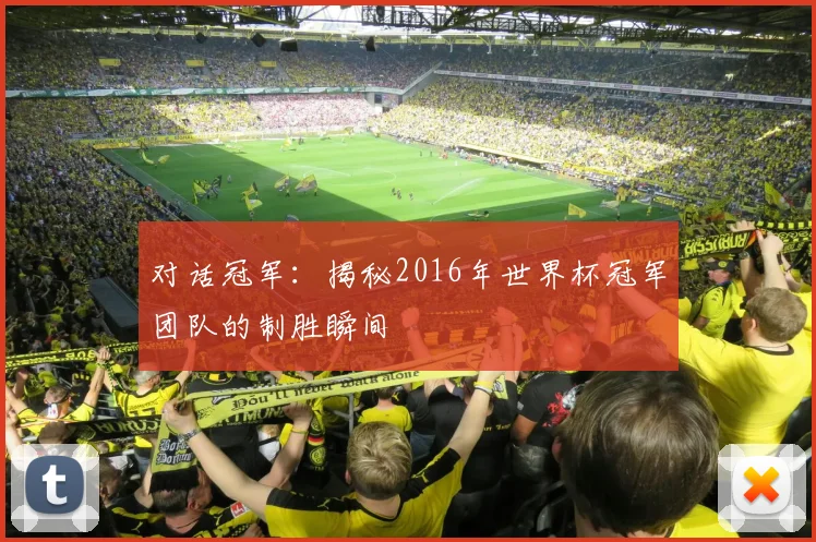 对话冠军：揭秘2016年世界杯冠军团队的制胜瞬间
