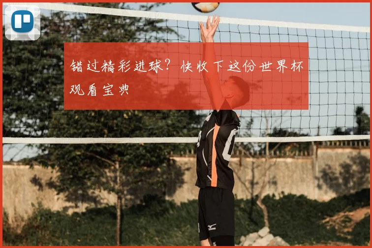 错过精彩进球？快收下这份世界杯观看宝典