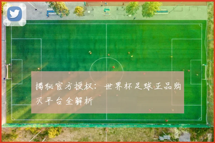 揭秘官方授权：世界杯足球正品购买平台全解析