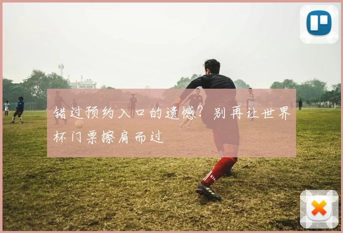 错过预约入口的遗憾？别再让世界杯门票擦肩而过