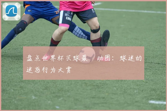 盘点世界杯买球最囧动图:球迷的迷惑行为大赏