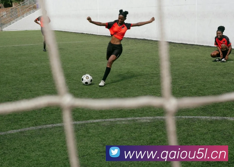 kaiyun官方网站首页平台生态图