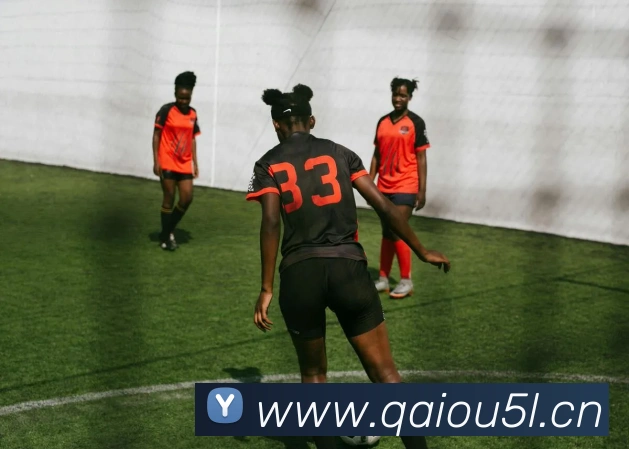 kaiyun官方网站首页APP 封面图